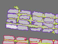 Annotation Visualization